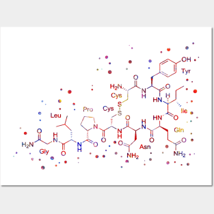 Oxytocin molecule Posters and Art